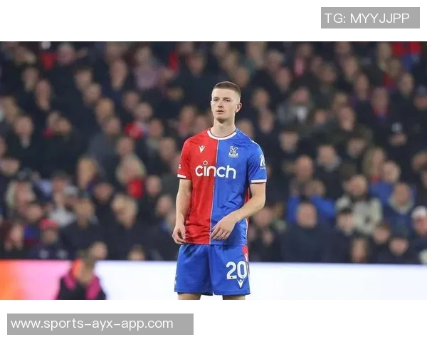 曼联计划引援中场目标锁定安德森沃顿和巴莱巴