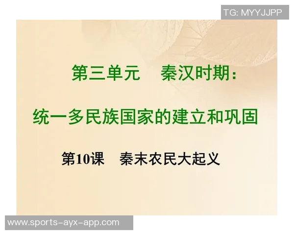 关于2017年历史问题处罚的公告及其影响分析与后续措施探讨